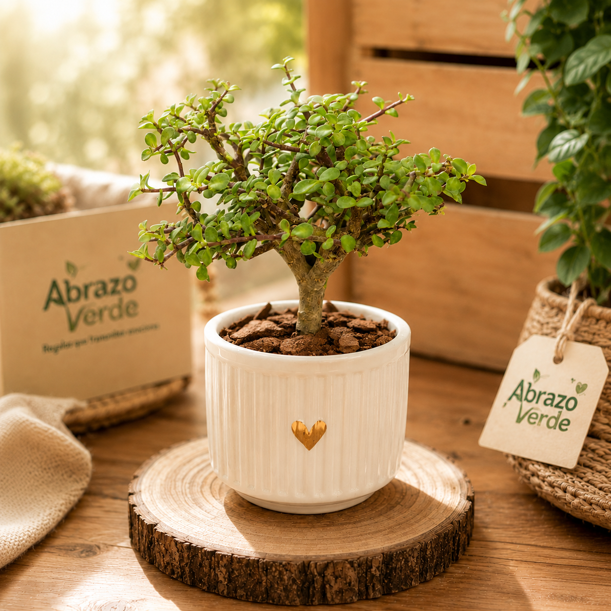 Arbolito de la abundancia
