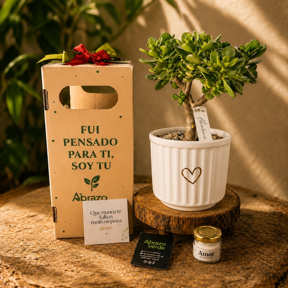 Jade – Prosperidad y Buena Fortuna