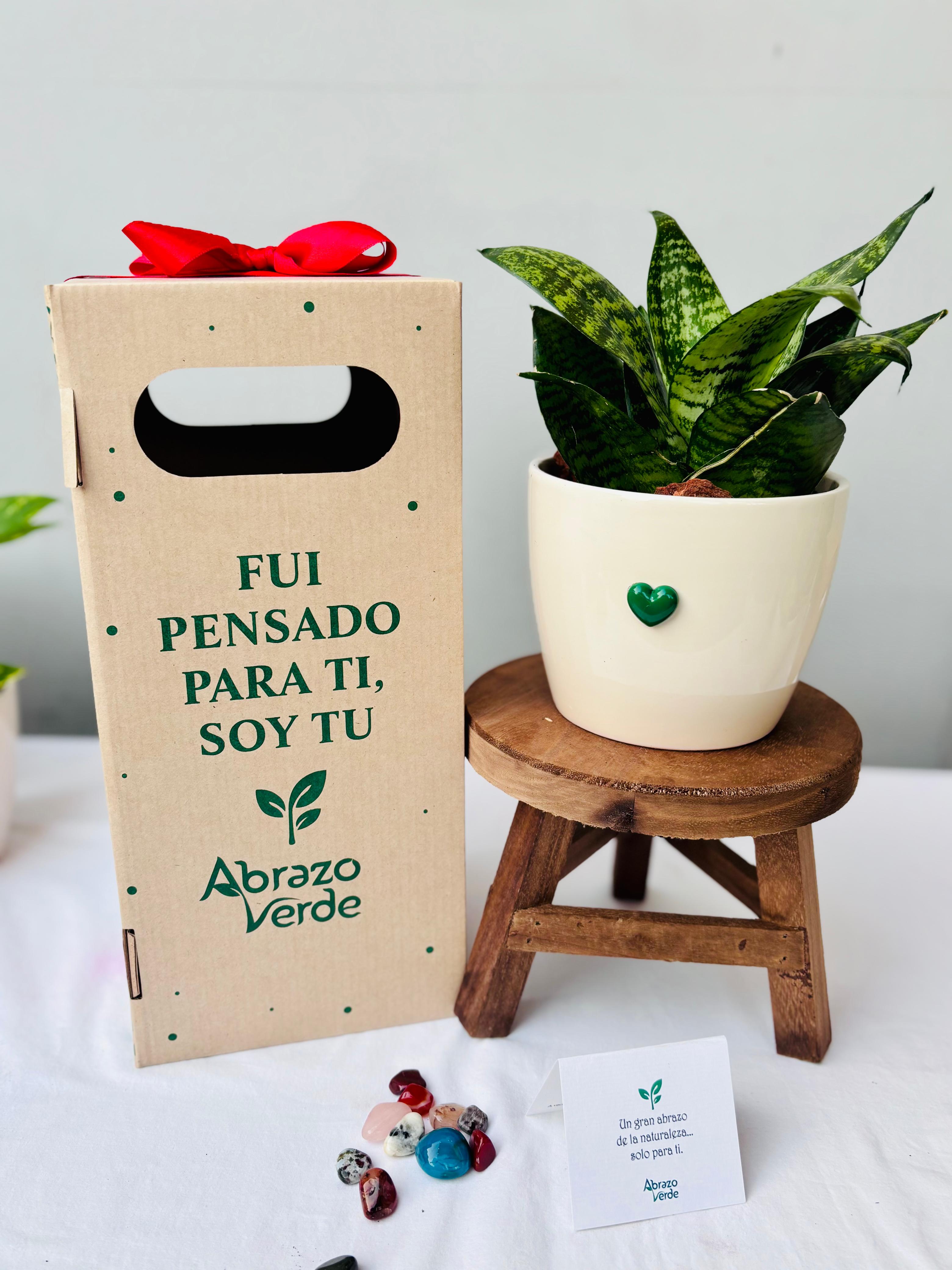 Imagen 4