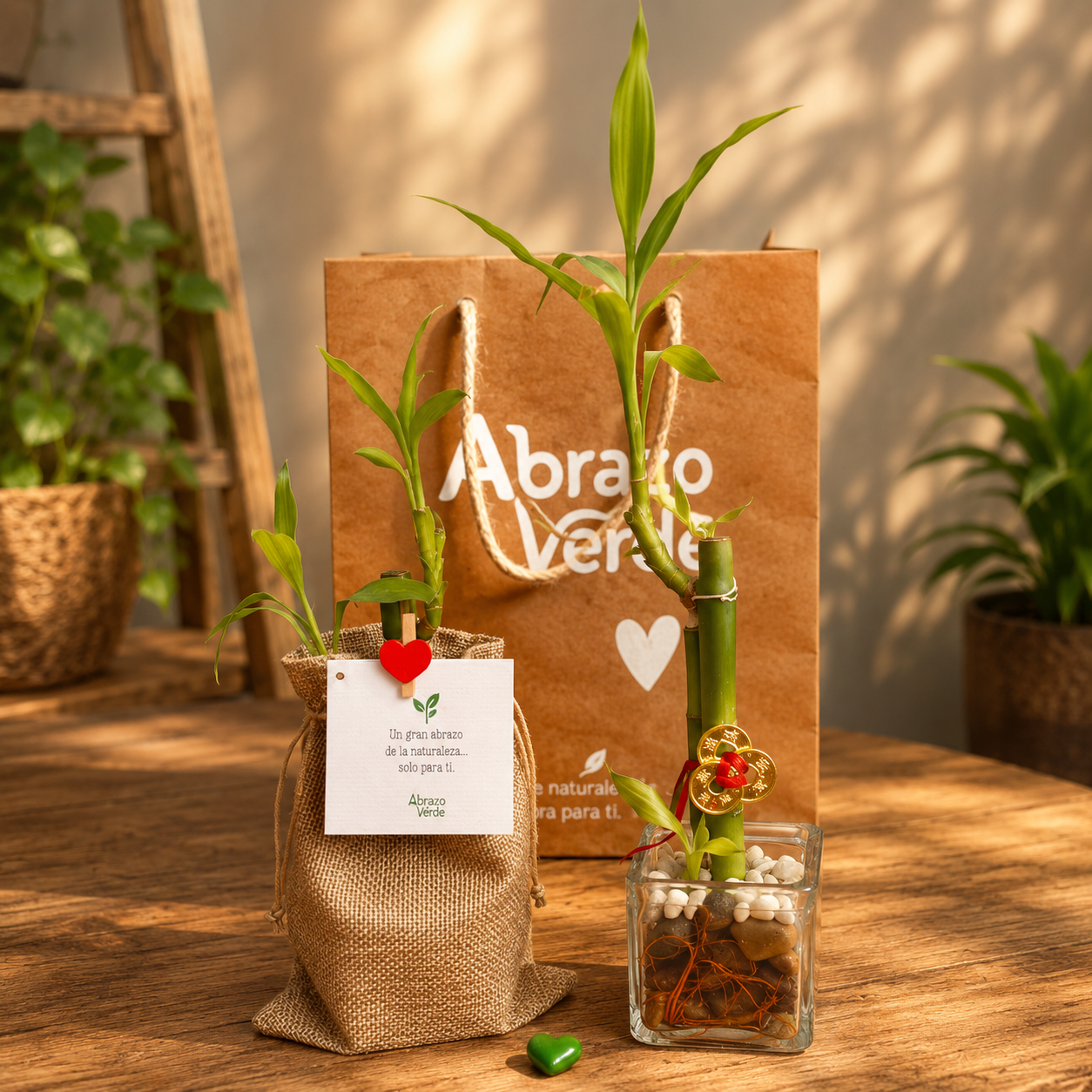 Bambú de la Suerte – Edición Intención Natural